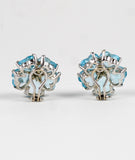 18kt White Gold Sand Dollar Earring with Blue Topaz and Diamonds