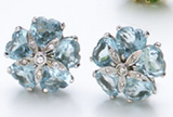 18kt White Gold Sand Dollar Earring with Blue Topaz and Diamonds